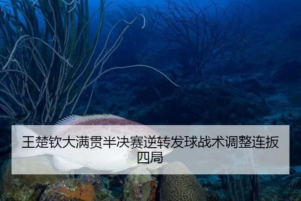 王楚钦大满贯半决赛逆转发球战术调整连扳四局