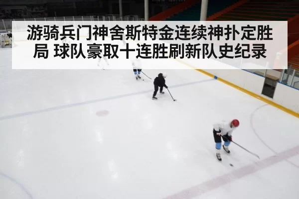 ice hockey game